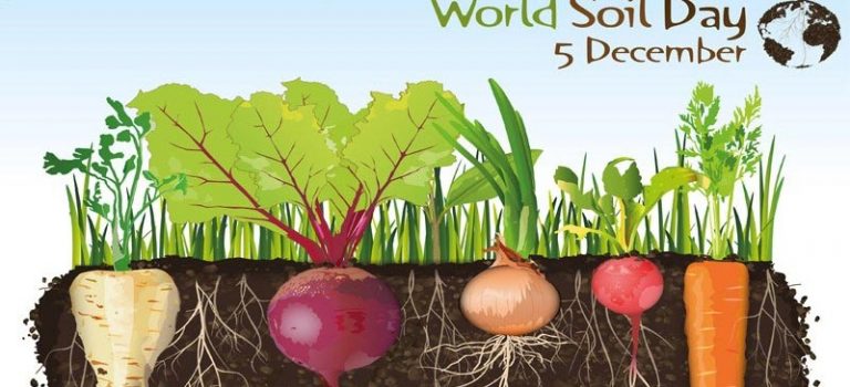 برگزاری دومین همایش خاک در استان فارس